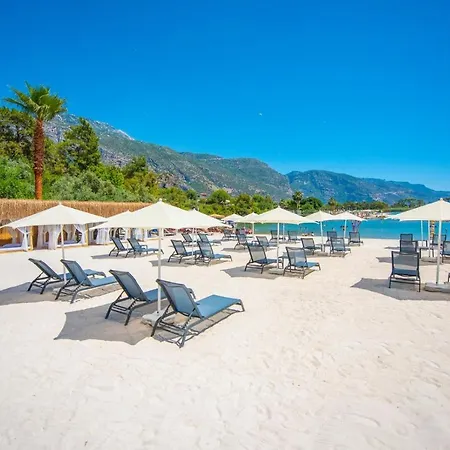 Four Seasons 8 * فتحية